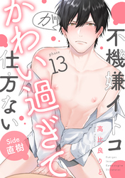 不機嫌イトコがかわい過ぎて仕方ない(13)　side直樹